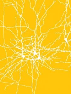 ELSC-Seminars-General