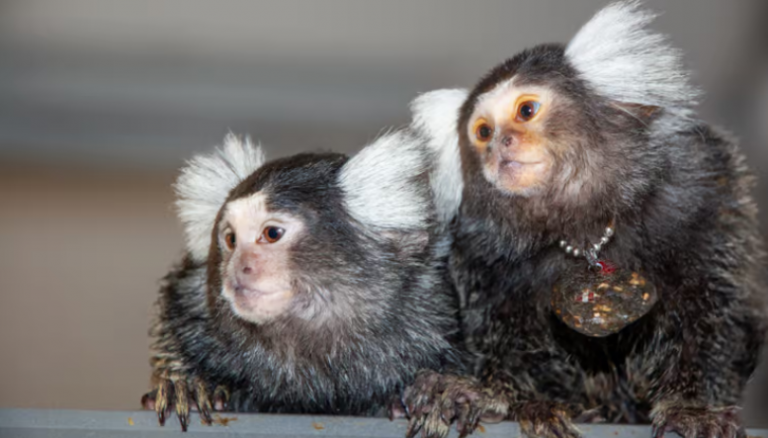 Screenshot 2024-10-08 112400