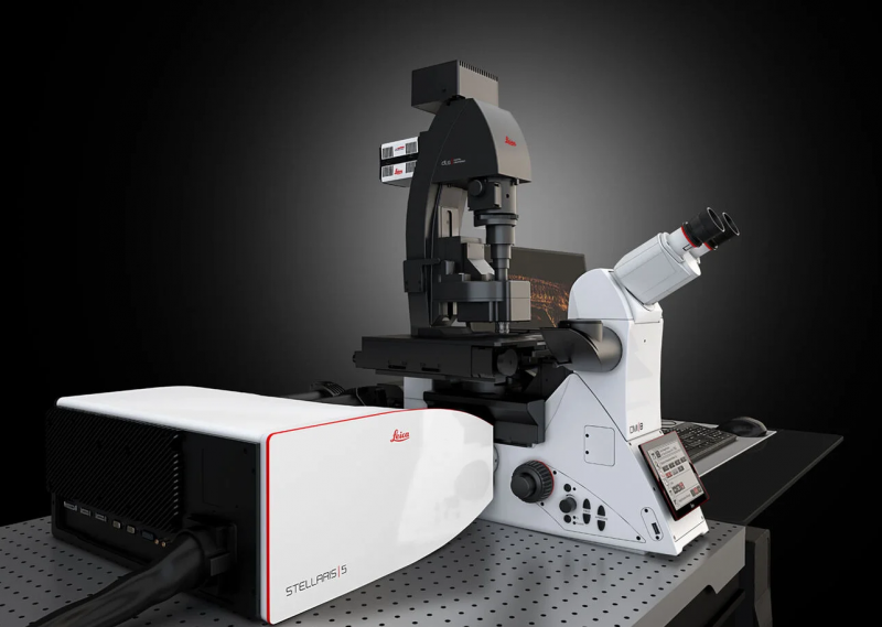 Levi-Montalcini confocal microscope